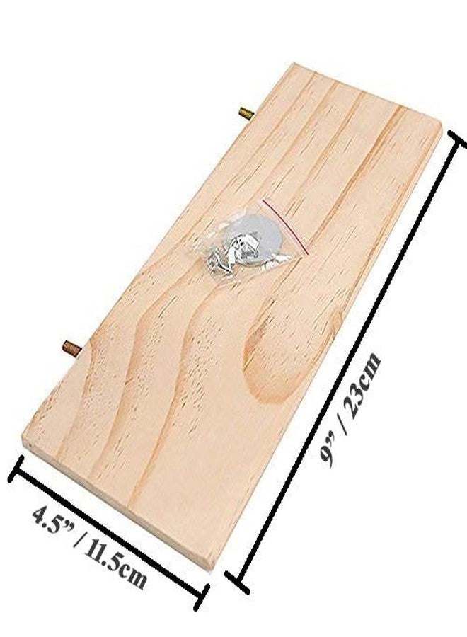 Sage Square 9 Inches / 23 cm Natural Wood Platform Cum Perch Cum Stand Bird Toy Ideal for Lovebird, Budgerigar, Sun Conure, Pionus, Quaker Parrot, Cockatiel, Finch, Canary, Budgeri (Light Weight) - Image 2